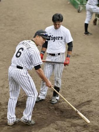 秋季キャンプで指導する阪神の金本監督(背番号6)=安芸(2015年11月1日、共同)