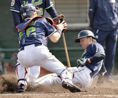 本塁クロスプレーの練習で、滑り込むヤクルト・雄平。捕手中村=浦添