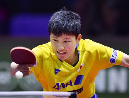 卓球世界選手権の男子シングルス4回戦でプレーする張本智和=ブダペスト(共同)