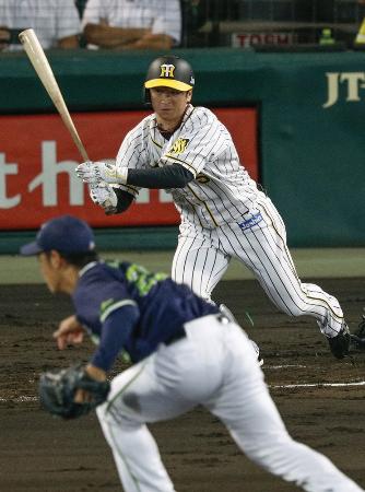 154安打を放ち新人最多安打のセ・リーグ記録を更新した阪神の近本光司=2019年9月、甲子園球場