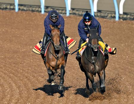 皐月賞の最終追い切りで調整するレガレイラ（左）＝美浦トレーニングセンター 