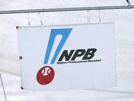 球場に掲げられている日本野球機構(NPB)の旗