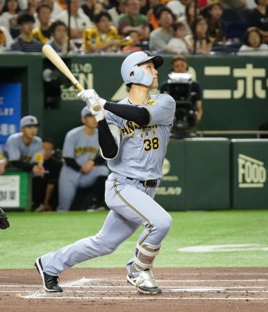 2回阪神2死、小幡が右越えに先制ソロを放つ=東京ドーム