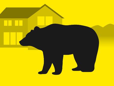 クマのグラフィックス 
